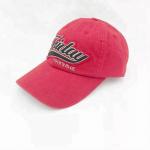 Personalized embroidered dad cap , 100% cotton dad hat six panel Eco friendly
