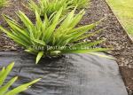 Water Permeable Ground Weed Control Fabric Suppressant Membrane Eco Friendly