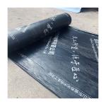 10m Length SBS Bituminous Waterproof Membrane Anti Aging Outdoor