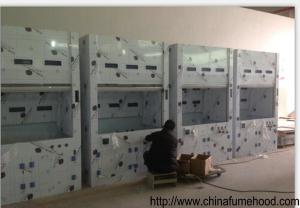 Wholesale Alkali Resistant Chemical Fume Hood Multifunctional Waterproof from china suppliers