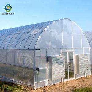 Wholesale Single Span Tunnel Steel Frame Greenhouse With Plastic Covering from china suppliers