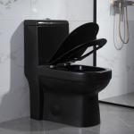 Compact Trapway Skirted One Piece Toilet Closet Flush Water Easy Clean