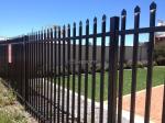 Powder coated tubular steel fence