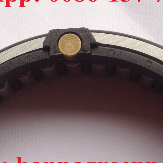 Swing Type Roller Bearing F-208142.6 Needle Roller Bearing Width - 16.9mm