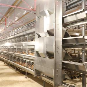 Wholesale Battery Day Old Chicks Cage Breeding Chicken Cage For Layer Chick from china suppliers