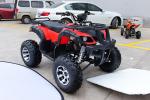 ATV 250cc,4-stroke,air-cooled,single cylinder,gasoline electric start