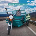 ELECTRIC TRICYCLE TRUCK LOAD WANG NEW NATIONAL STANDARD ELECTRIC CAR EXPRESS CAR
