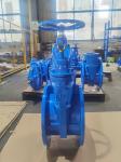 OEM 10" Soft Seat Gate Valve Ductile Iron Valves DN250