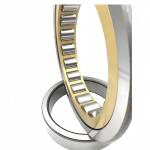 N/NU/NJ/NF1007EM Cylindrical Roller Bearing 35*62*14mm for Machinery Repair