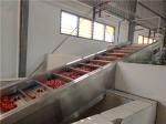 Industrial 250T/D 440V Tomato Puree Processing Plant