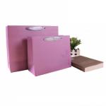 Eco Friendly Kraft Gift Printed Paper Bags with Handle Luxury Shopping