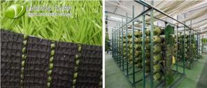 Wholesale Landscape Recycled Artificial Turf 30mm from china suppliers