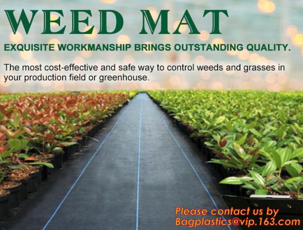 PP woven weed mat,ground cover, black fabric,weed barrier for agriculture, weed