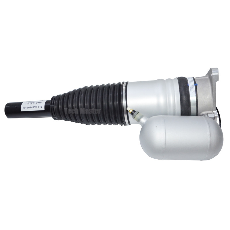 Well - Functioned Air Suspension Shock Absorber Audi A8 D5 4N4616001B