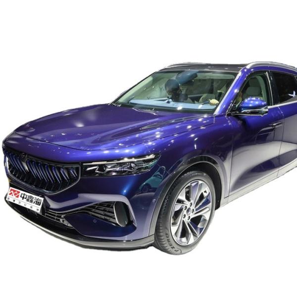 2021 Energy 5 seat Electric Adult VOYAH FREE 2021 two-wheel drive pure electric
