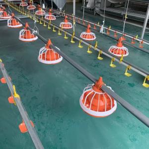 Wholesale Dia.25mm Automatic Poultry Feeder For Broiler 10 Years Life Span from china suppliers