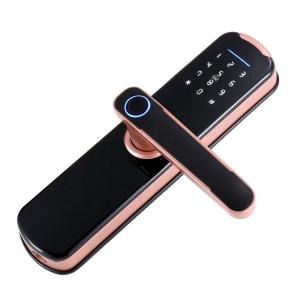 China Ttlock Tuya App 35mm Smart Electronic Lock Wifi Password on sale