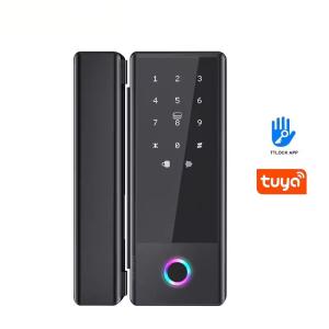 Wholesale Smart Glass Door Lock Black Fingerprint Keypad Door Lock Security from china suppliers