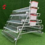 10000 Layers Chicken Layer Battery Cage Semi Automatic Save Space Adela
