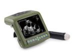 Digital Wrist Medical Usb Ultrasound Scanner For Animals Displaying Backfat