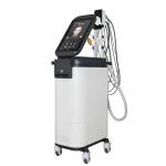 Vertical Magnetic Facial Ems rf Skin Rejuvenation Lifting Skin Tightening