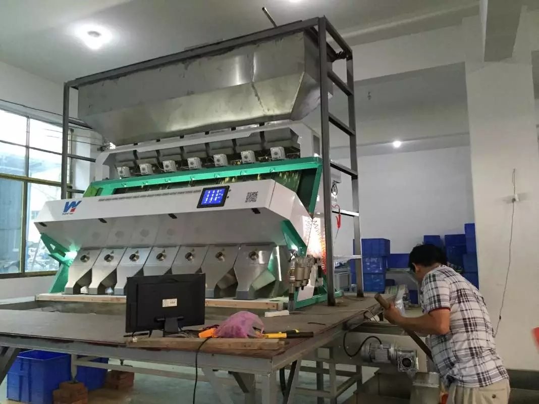Peeled Peanut Almond Walnut Raisin Color Sorting Machine CCD 5 Chutes