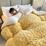 All-Season Home Textile Duvet Quilt Thickened Warm Taffeta Winter Quilt with