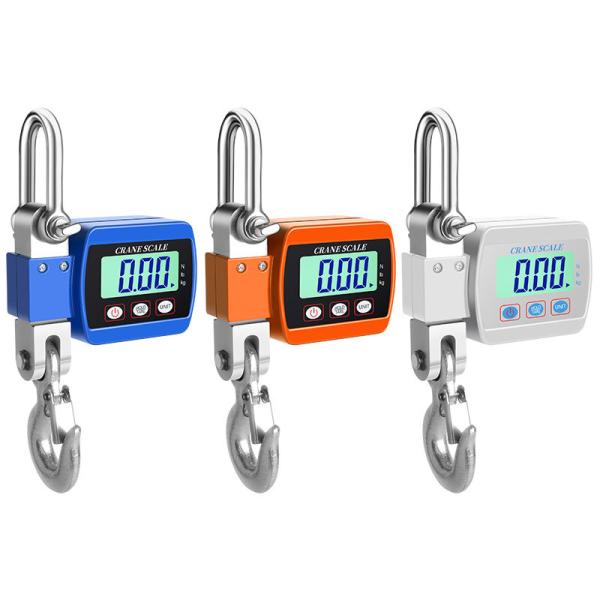 Accurate Weight Measurement Crane Scale with 500KG Capacity LED/LCD Display Heavy-Duty Design and CE ROHS Certification