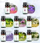 OEM ODM Geranium Aromatherapy Oil Organic Essential Oil Set 10ml For Gifts