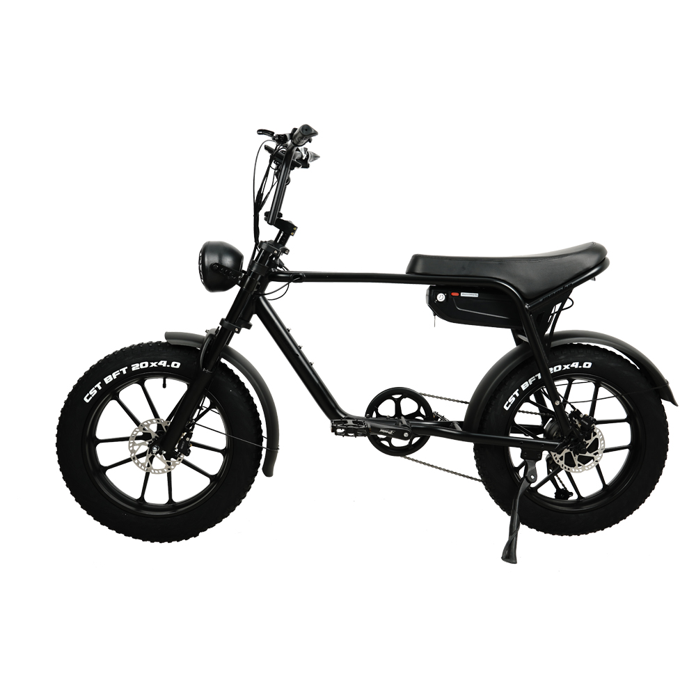 48V 15AH 750W Super 7 3 Fat Wheel Electric Bike With 10 Beams Integrated Wheel