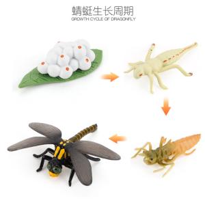 Wholesale Plastic Anatomy Skull Model Toy Educational Collectible Display For Kids from china suppliers