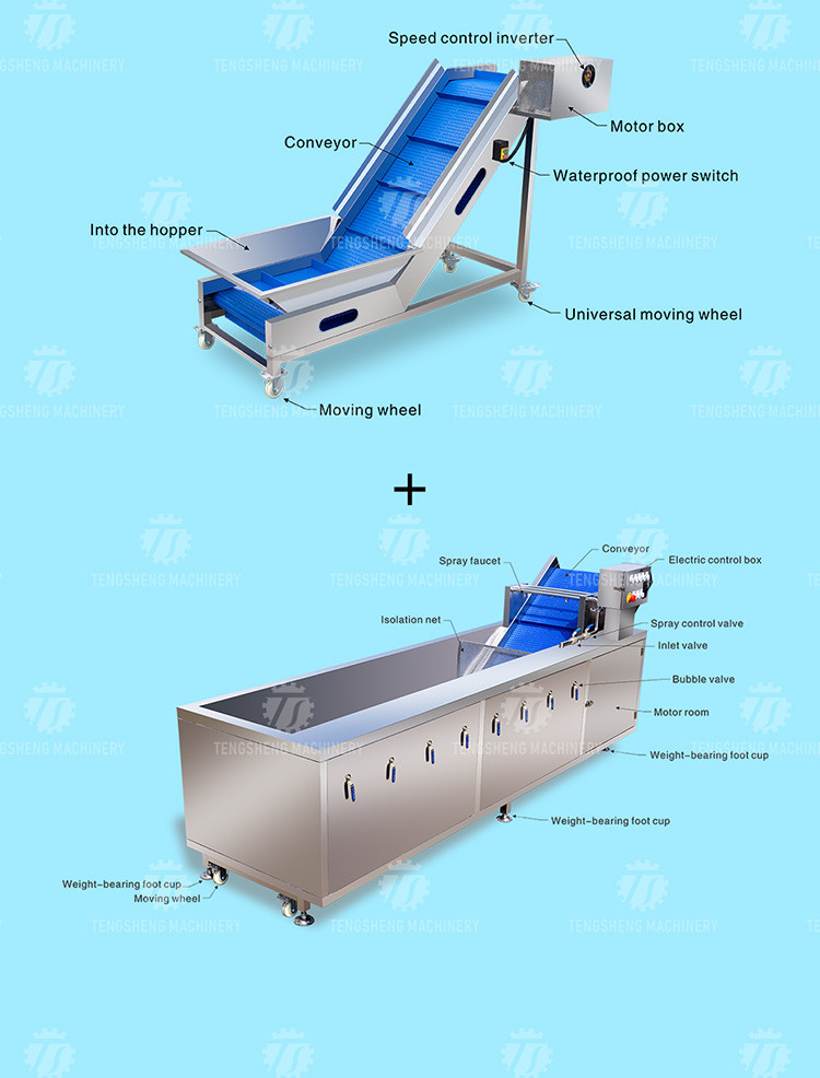 165MM Belt Industrial Vegetable Processing Machine Fruit Selection Washing Cutting Machine