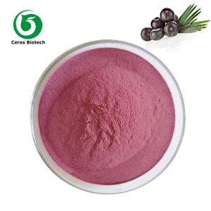 Wholesale Natural Organic Fruit Juice Acai Berry Powder Food Grade 90% from china suppliers