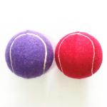 2.5'' Squeaky Ball Dog Toys