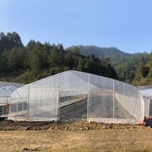 Wholesale Waterproof Transparent Low Tunnel Greenhouse Single Plastic Greenhouse Tunnel from china suppliers