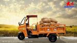 Water-Cooling Engine 250cc Semi Cabin Motorized Cargo Tricycle for Your Business