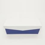 Magnetic Closed Cardboard Classic Gift Box Luxury Packaging Boxes