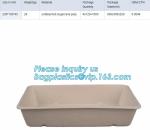 microwavable disposable biodegradable corn starch salad bowl,Healthy children