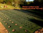 Garden Agricultural Weed Mat,Plastic Ground Cover, Weed Control Mat, pp woven