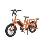 36V 13Ah Lithium Battery Electric Delivery Bike for Family 20inch Dual Battery