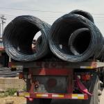 Galvanized Annealed Black Steel Wire Rod Rope Bwg 16 18 20 21 22 Q195 Ss400