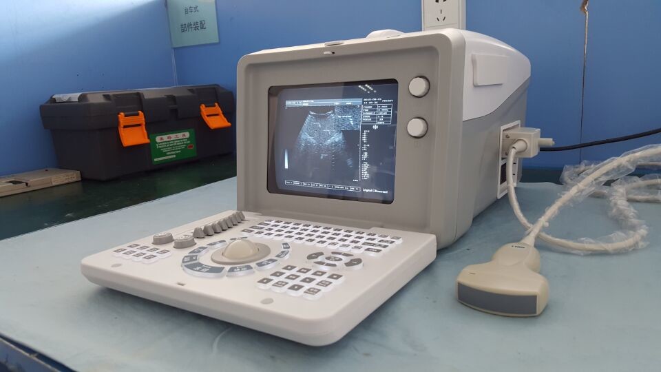 Animal Cattle Veterinary Ultrasound Machines 6.5MHz R13 Cavity Probe