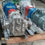 High Pressure Stainless Steel Rotary Lobe Pump With Double Shaft Pump Casing