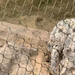 Bird Aviary Safety Net Stainless Steel 316 Flexible Zoo Rope Netting