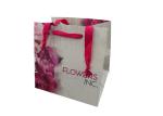 Romantic Unique Present Paper Bag , Giant Birthday Gift Bags Eco - Friendly