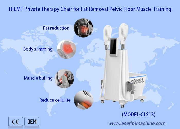 200μs Pulse Magenetic Face Sculpt Machine 0-3T Electromagnetic Wave