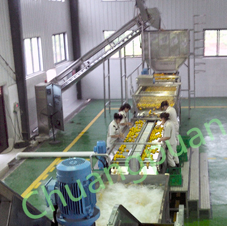 20KW Mango Processing Machine Stainless Steel 380V 410V