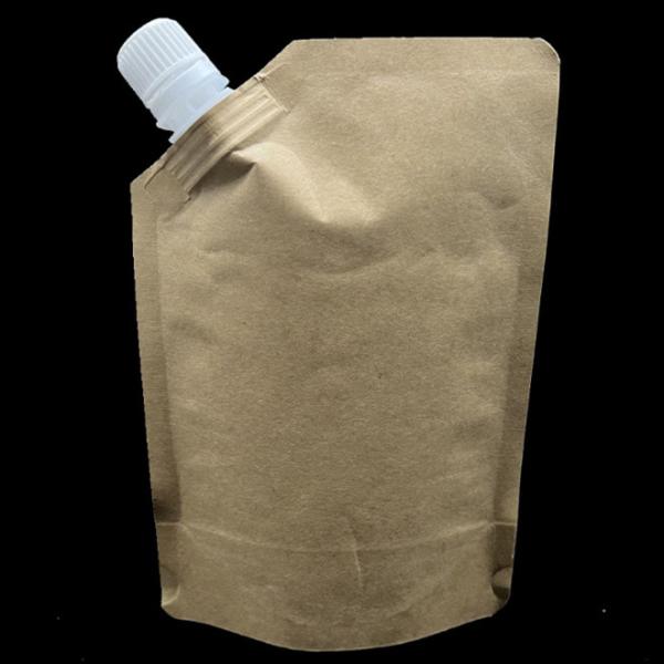 Biodegradable Foil Custom Printed Stand Up Pouches Waterproof Liquid Kraft Paper