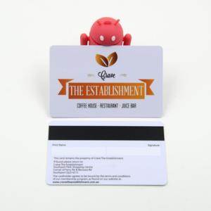 Wholesale Track 3 Data Encoded Magnetic Stripe Gift Cards , Magnetic Swipe Cards For Supermarket from china suppliers