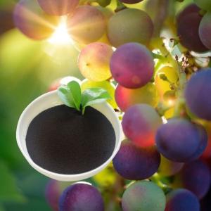 Wholesale Ph7-9 Organic Fertilizer Amino Acid Powder Water Soluble Chelated Iron O-O 4.8 from china suppliers